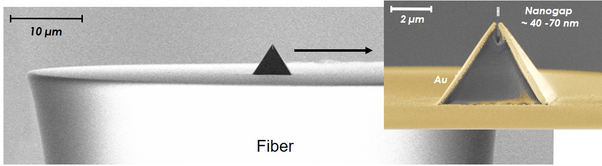 Campanile Probe (Fiber type)